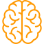 brain (2)